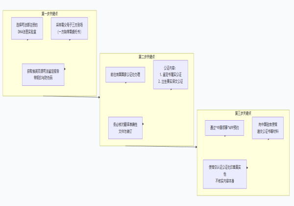 亲子鉴定公证流程